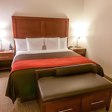Comfort Inn Quantico Stafford Extérieur photo