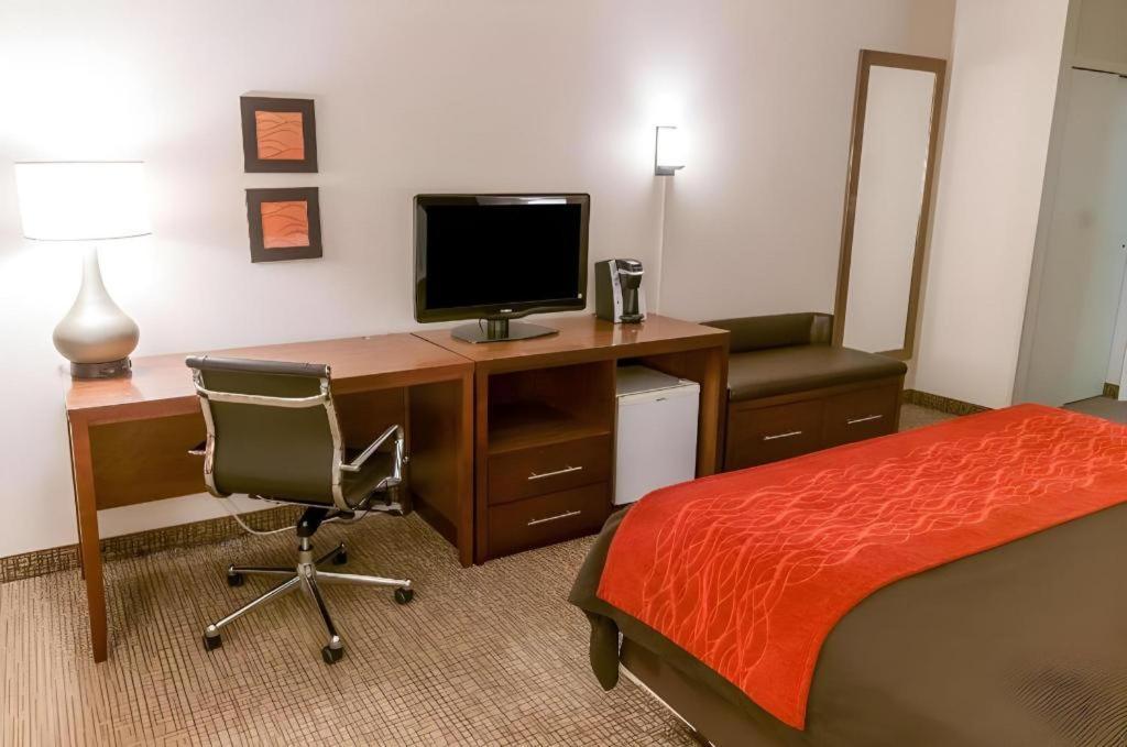 Comfort Inn Quantico Stafford Extérieur photo