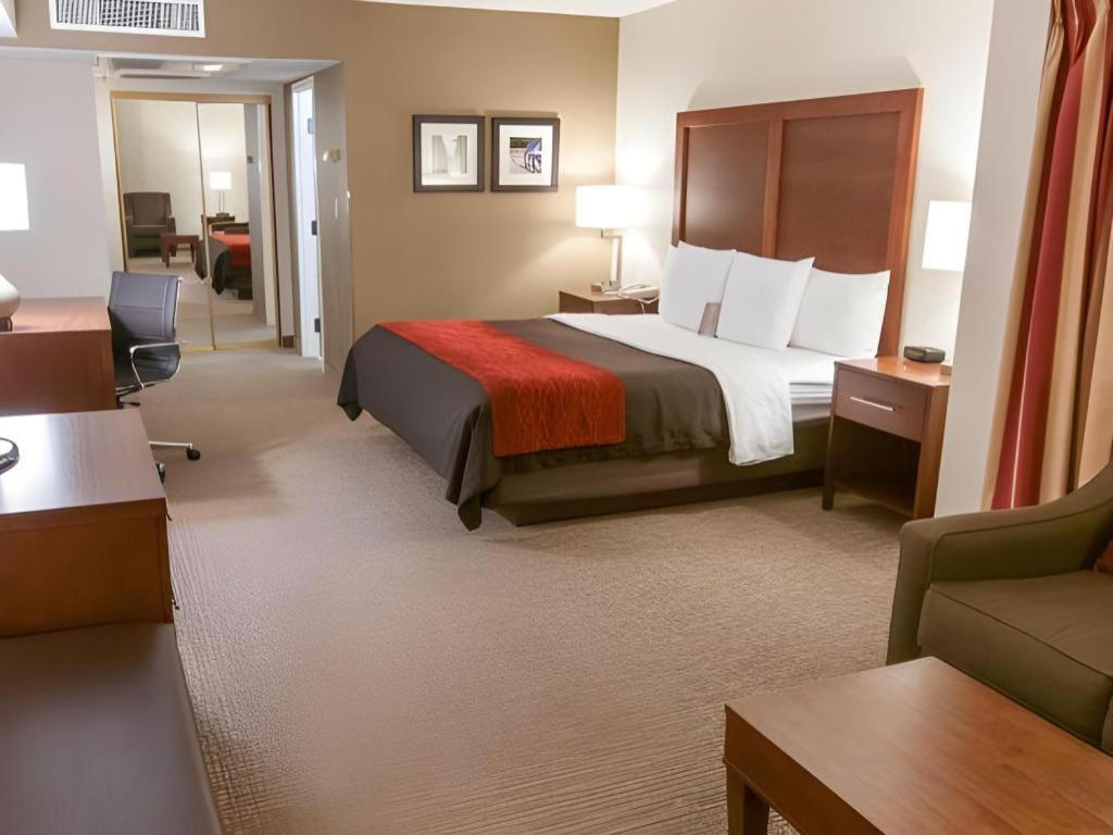 Comfort Inn Quantico Stafford Extérieur photo