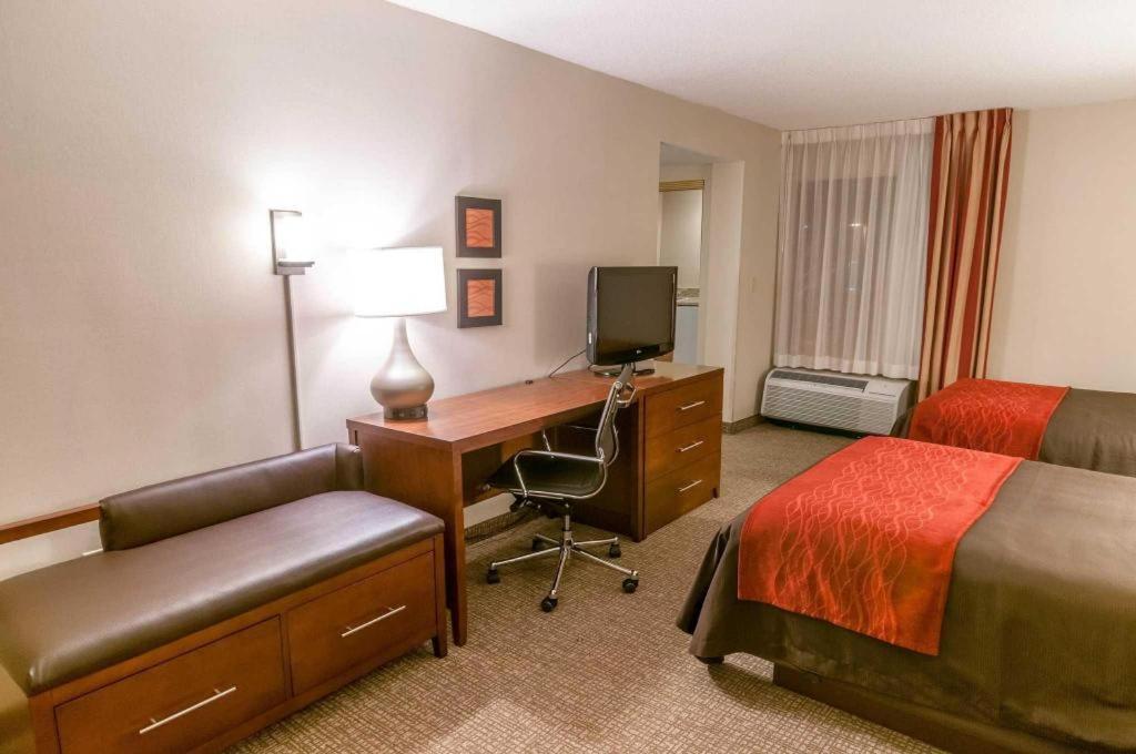 Comfort Inn Quantico Stafford Extérieur photo