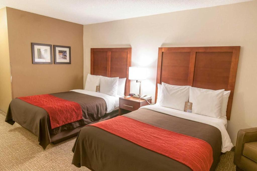 Comfort Inn Quantico Stafford Extérieur photo