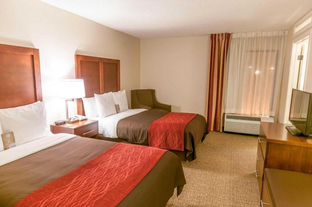 Comfort Inn Quantico Stafford Extérieur photo