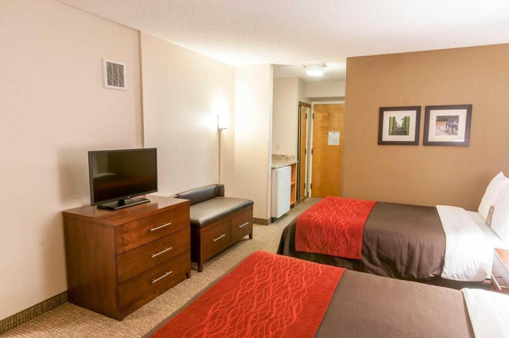 Comfort Inn Quantico Stafford Extérieur photo