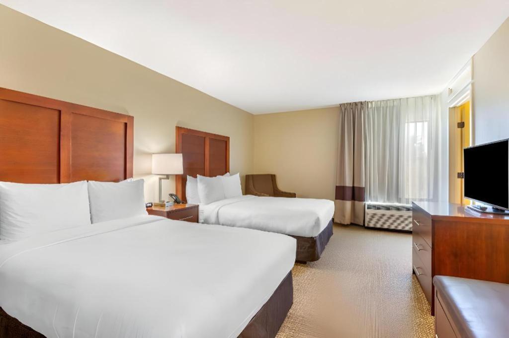 Comfort Inn Quantico Stafford Extérieur photo