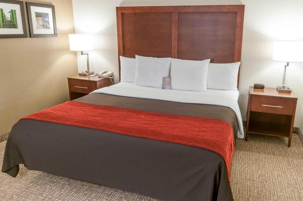 Comfort Inn Quantico Stafford Extérieur photo
