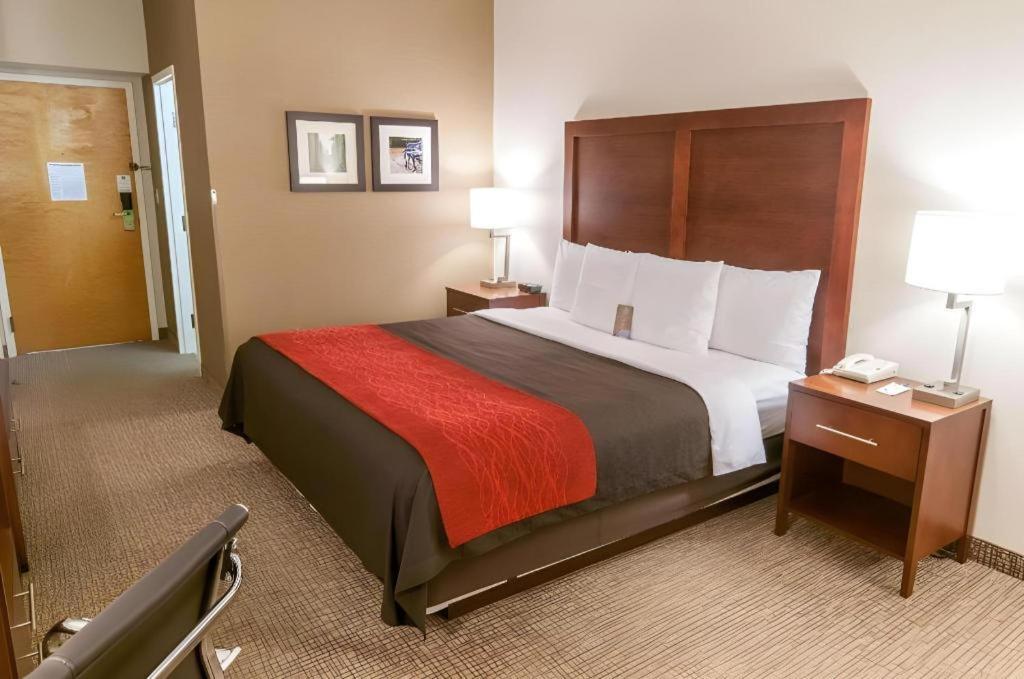 Comfort Inn Quantico Stafford Extérieur photo